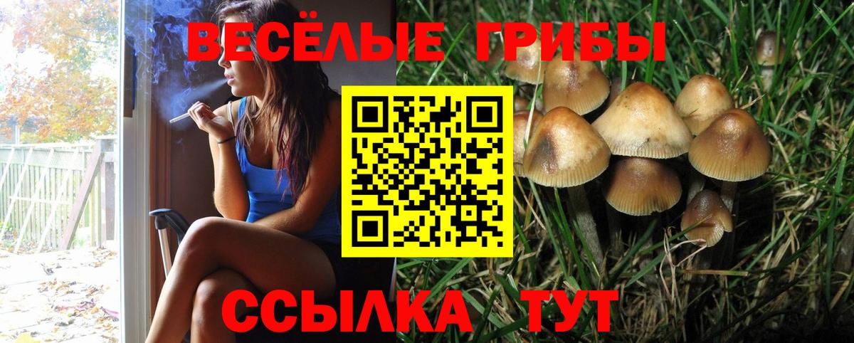 Галлюциногенные грибы прущие грибы  Вход с VPN  Ликино-Дулёво 