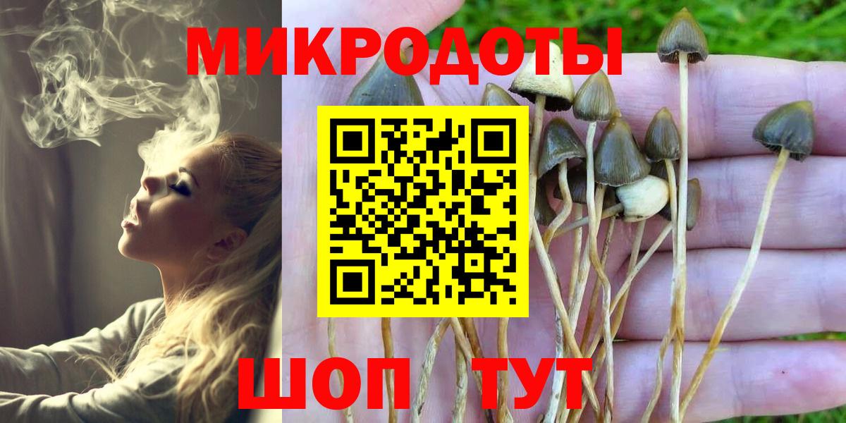 Галлюциногенные грибы Cubensis Ликино-Дулёво